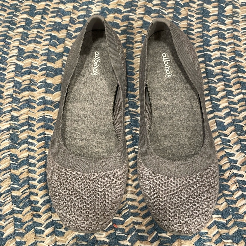 All birds grey flats